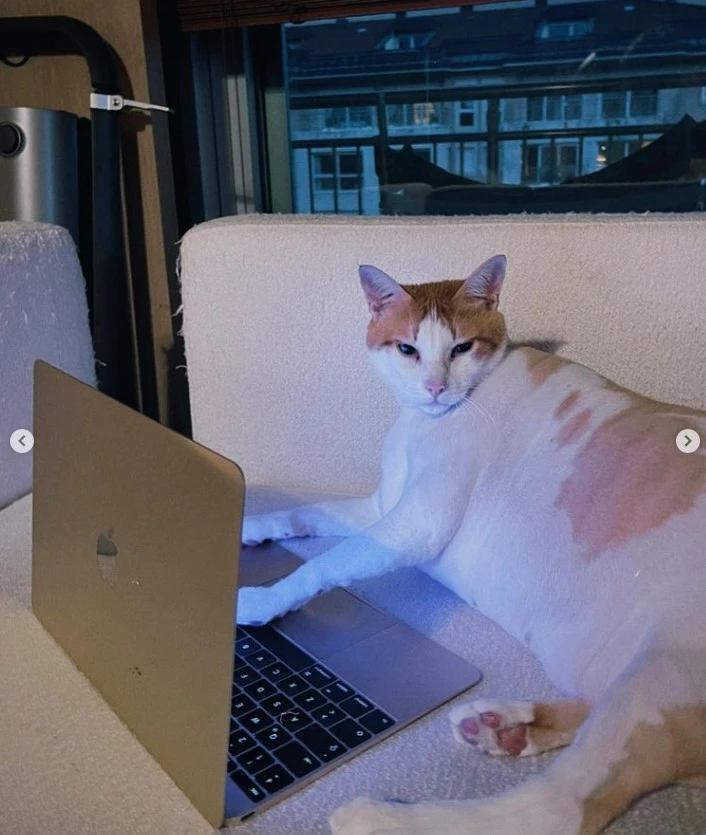 Danla Biliç'i kahreden haber! "Çok erken bıraktın beni..."